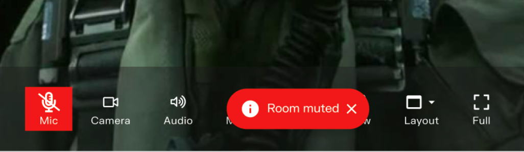 Participant_view_mute_all.png