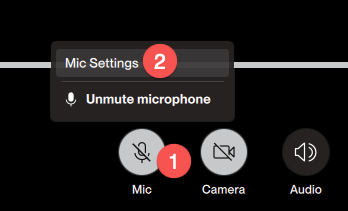 mic-settings-1-desktop.png