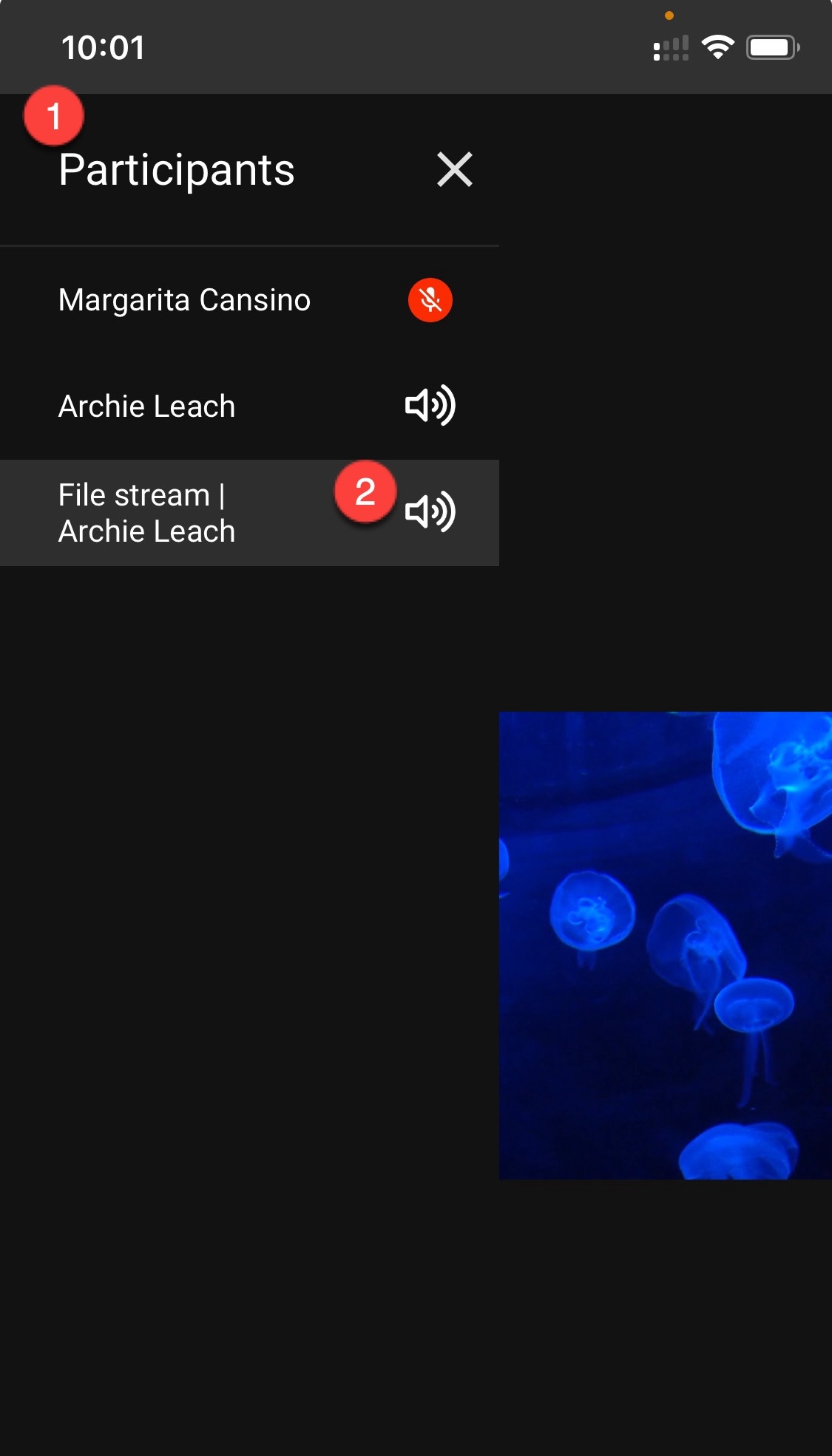 mute-stream-iOS.jpg