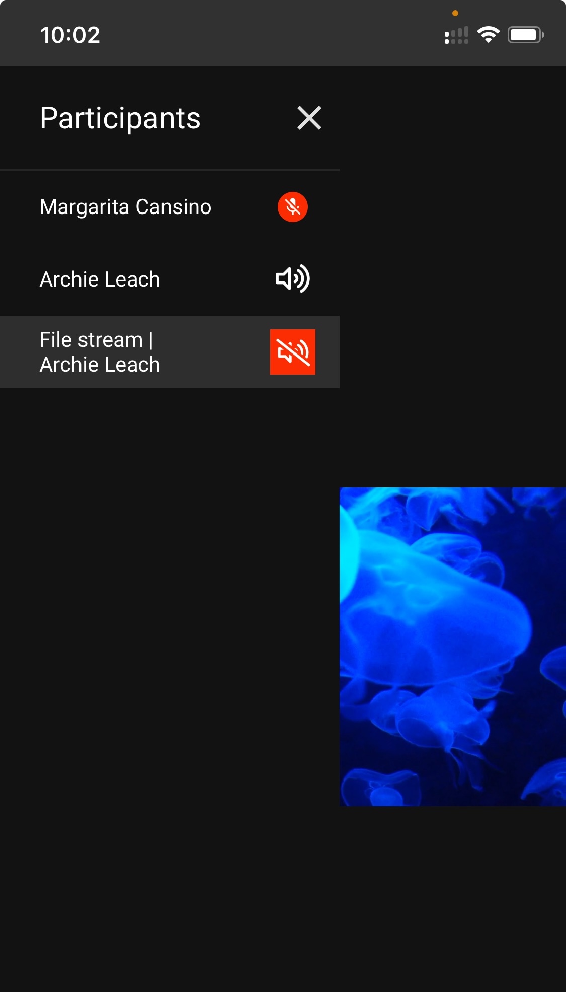 mute-stream-iOS2.jpg