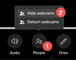 hide-webcams2025.png