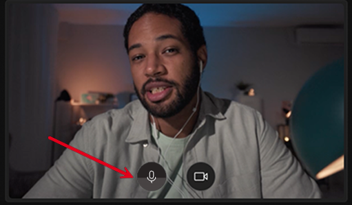 webappv4-lobby-mic-webcam.png