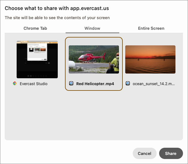 screenshare-web-window-2026.png