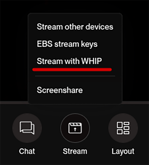 stream-whip.png